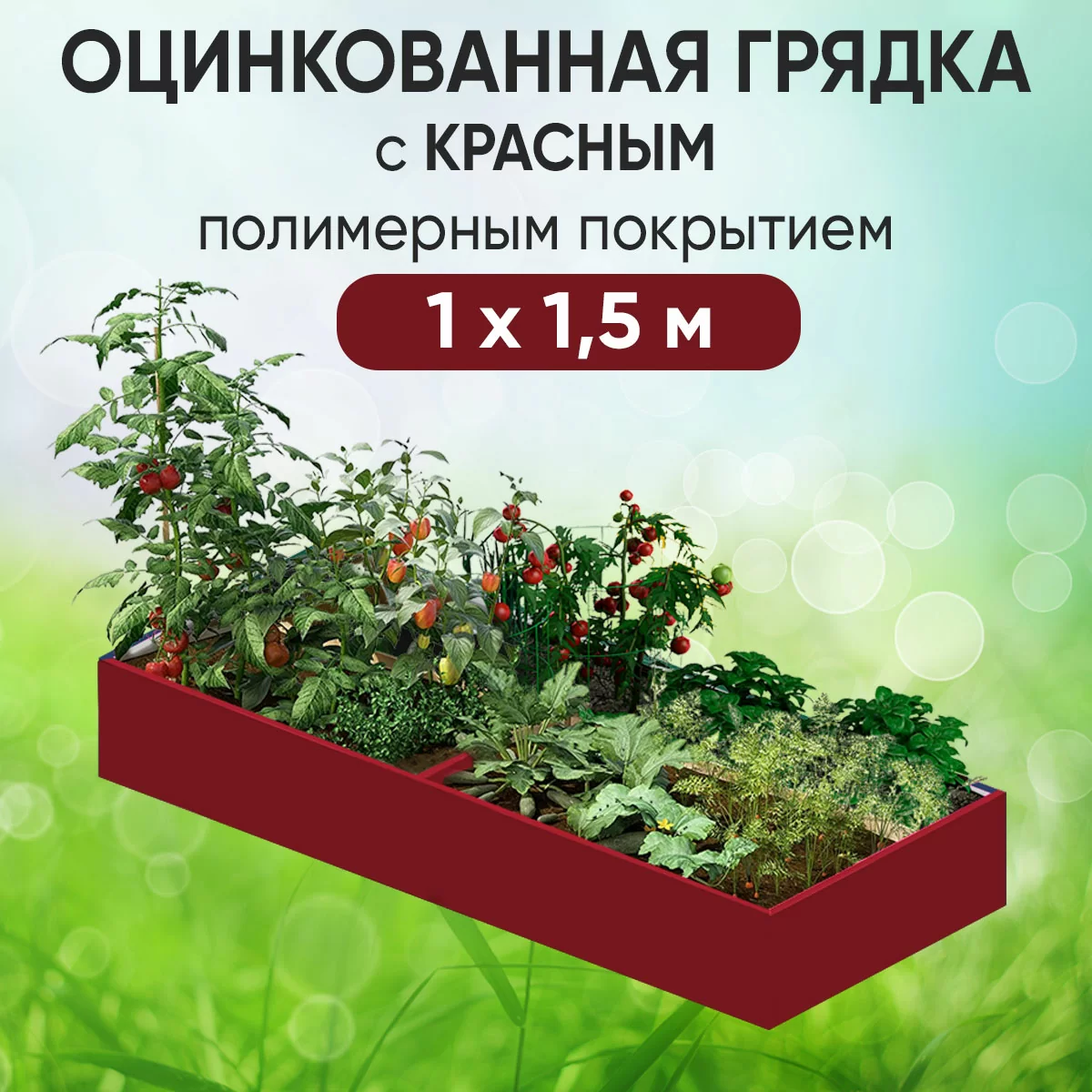 Грядка красная (1 х 1,5)